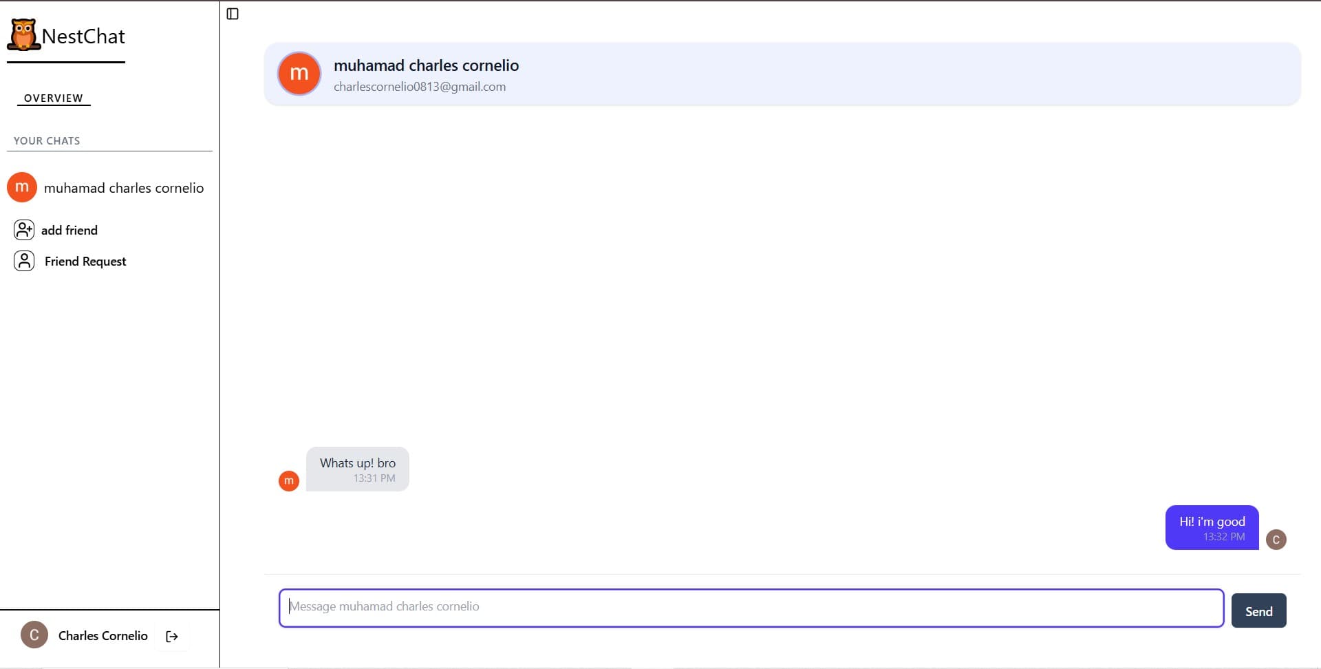 Chat Interface